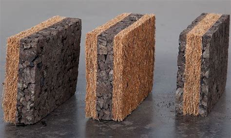 Cork: Un Materiale Biodegradabile e Resistente per Isolanti Acustici Efficaci!