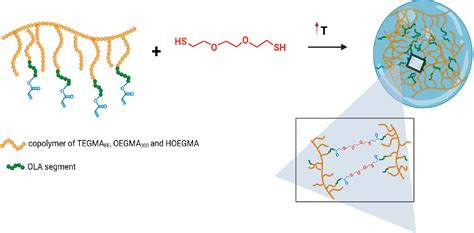  Oligo(ethylene glycol) methacrylate: La chiave per la resistenza e l'adattabilità nei materiali biocompatibili!