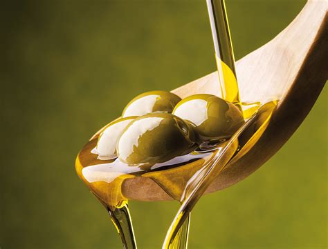 Rapeseed Oil: Un Esplorazione del Potenziale di un Olio Versatile per l'Industria e la Cucina!